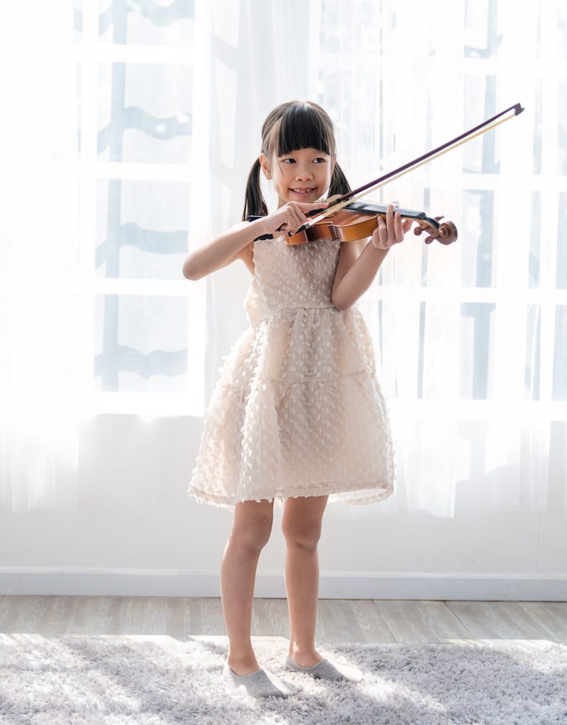 aula de violino online rozny iniciante avançado intermediário curso