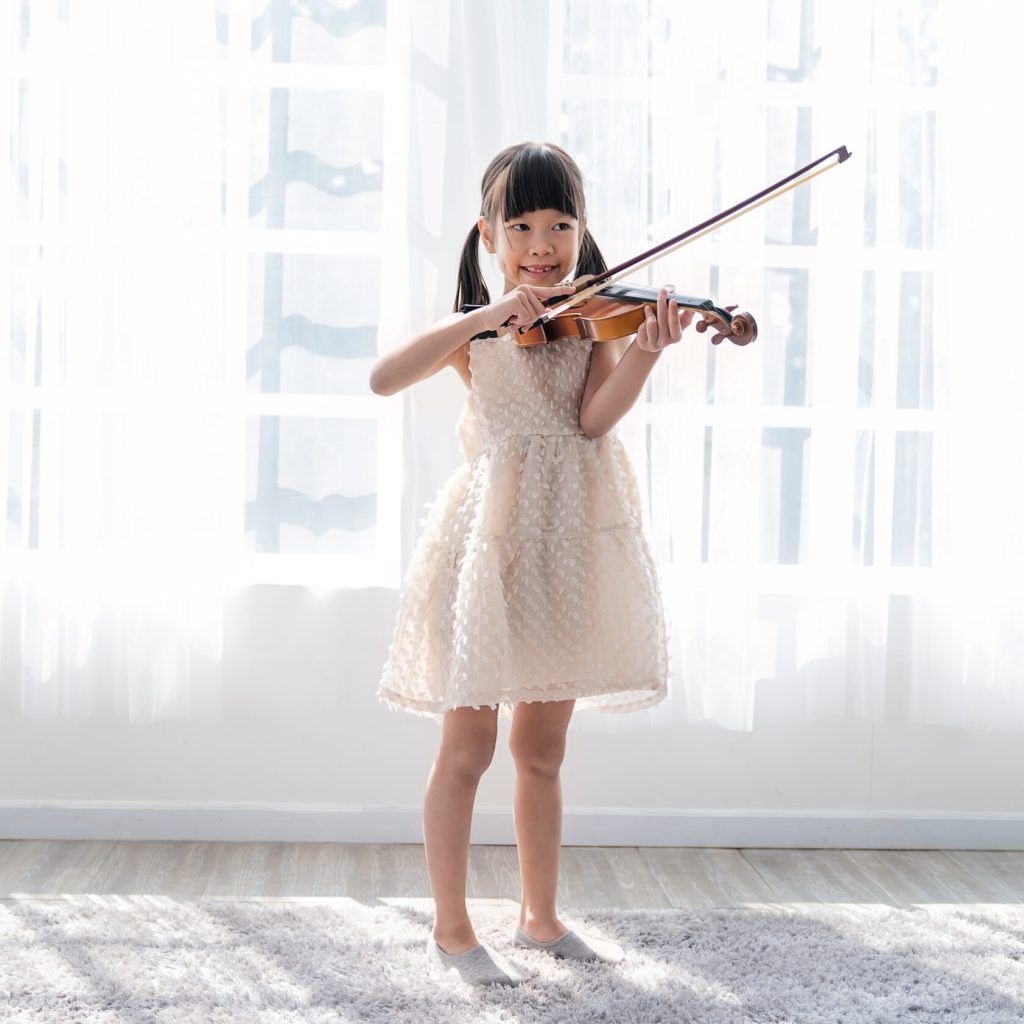 aula de violino online rozny iniciante avançado intermediário curso